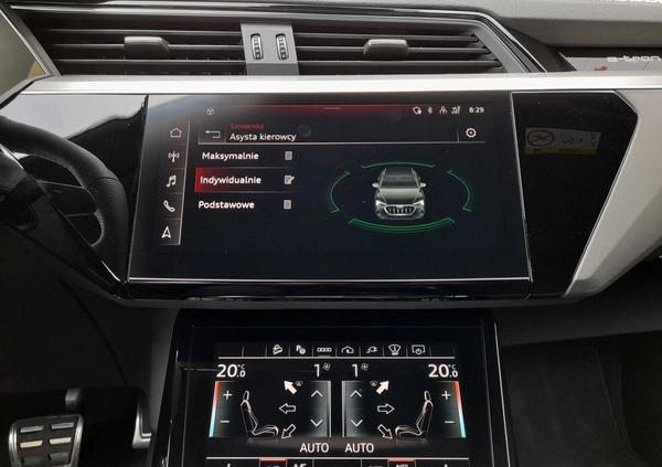 Audi e-tron cena 299900 przebieg: 8135, rok produkcji 2023 z Nisko małe 781